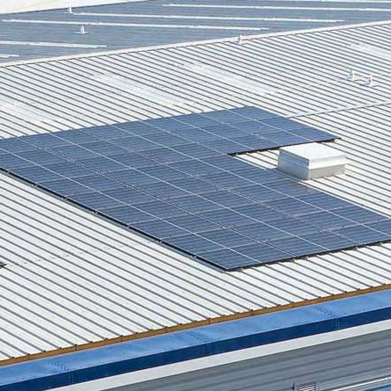 Solar PV panels on the unit roofs
